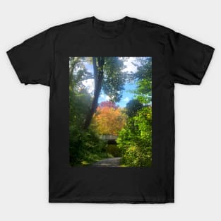 Fall Stroll T-Shirt